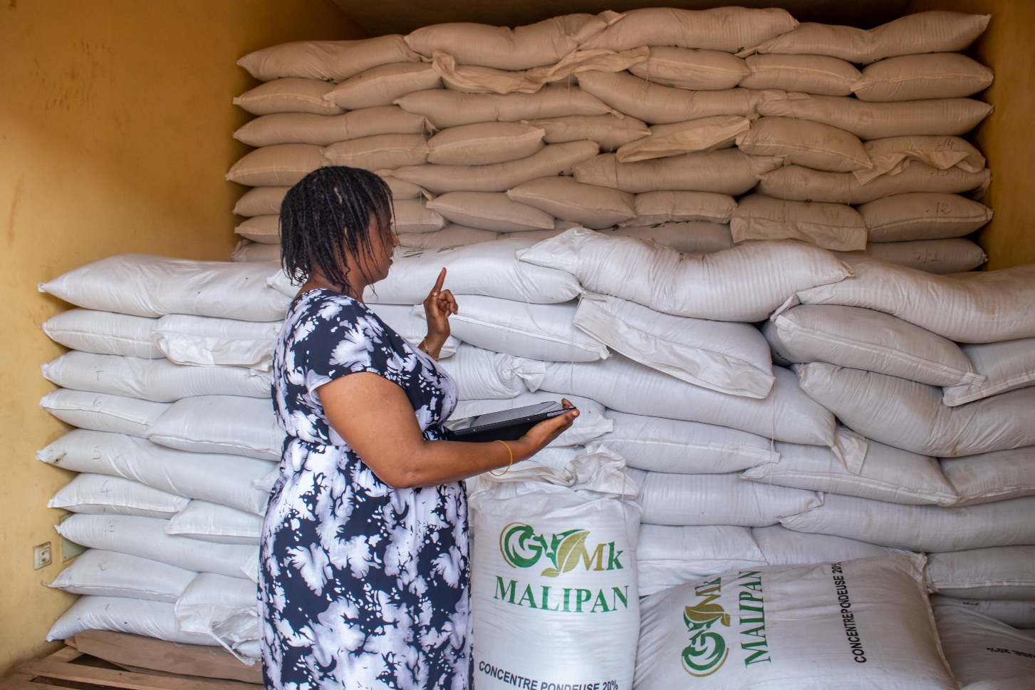 Afribel Group : des aliments complets et équilibrés pour volailles, bovins et poissons en Guinée