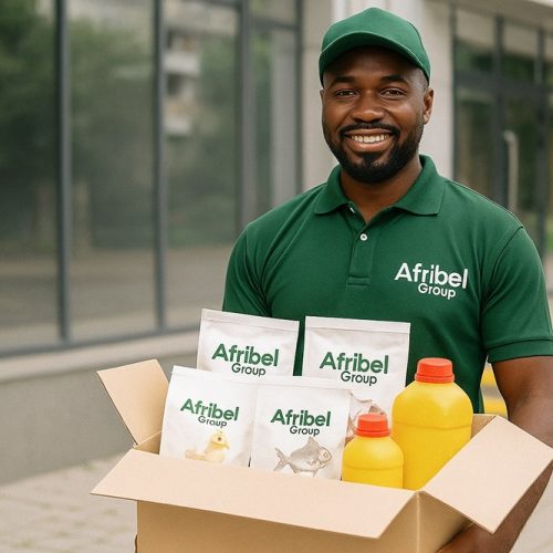 Livreur Afribel Group